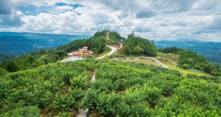 南江县大河镇太平山村